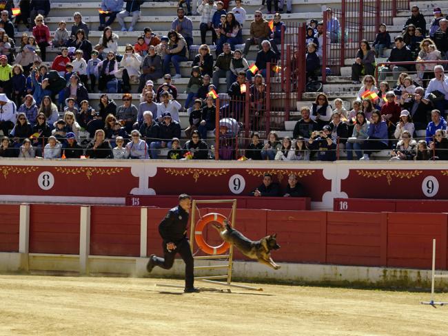 Se celebró un campeonato de guías caninos con participación por equipos con evaluación por jueces especializados