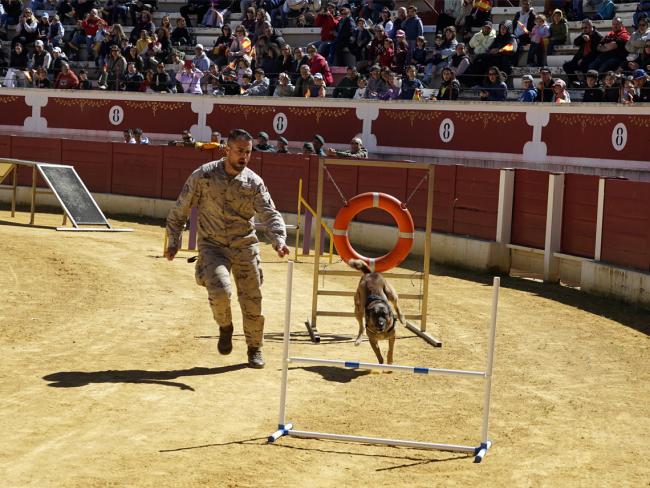 Se celebró un campeonato de guías caninos con participación por equipos con evaluación por jueces especializados