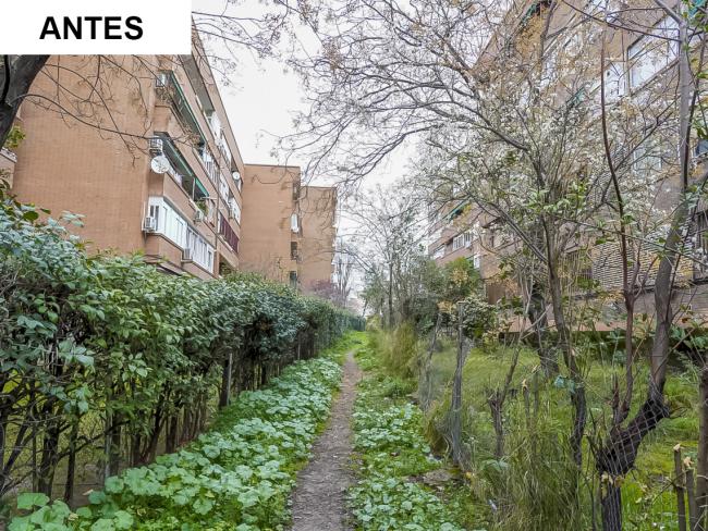 Calle Encina