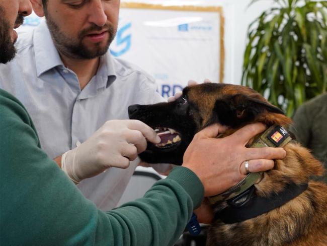 La prueba es rápida e indolora