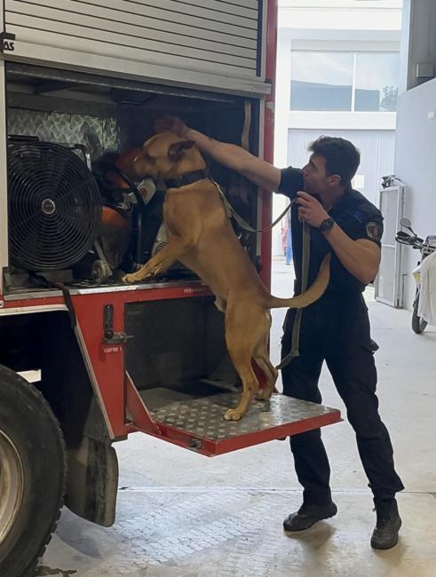 Pruebas de trabajo real de las unidades caninas