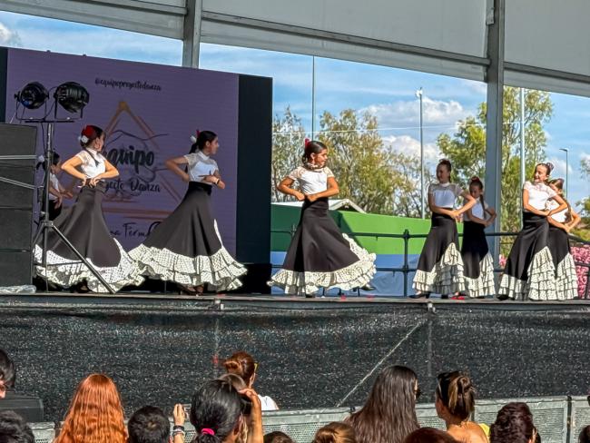 Escuela de baile Equipo Proyecto Danza