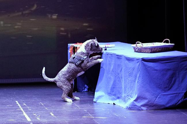 Demostración de la Unidad Canina